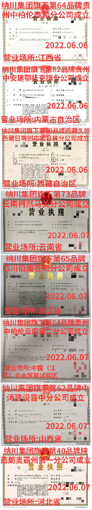 貴州中柏倫泰和分公司等8家分公司成立了